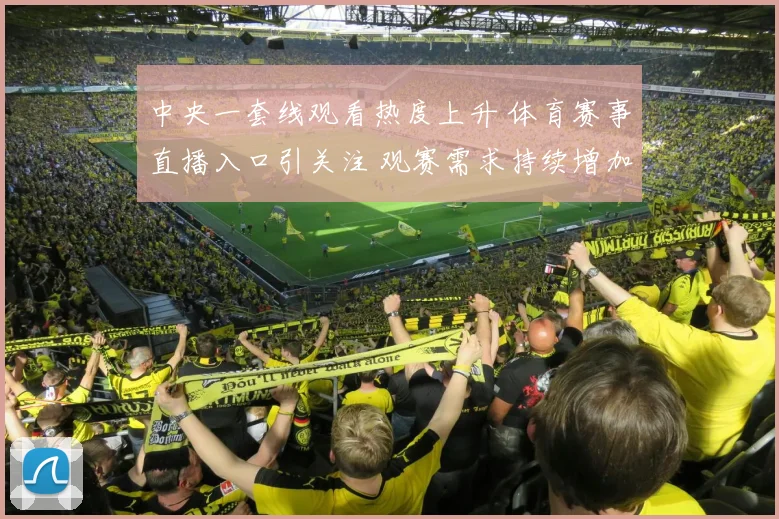中央一套线观看热度上升 体育赛事直播入口引关注 观赛需求持续增加